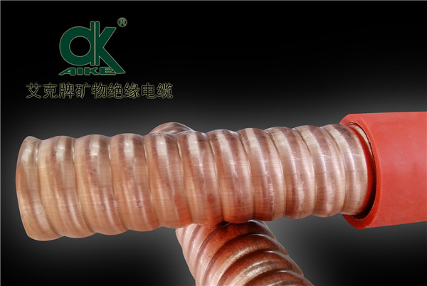 �V��^����|